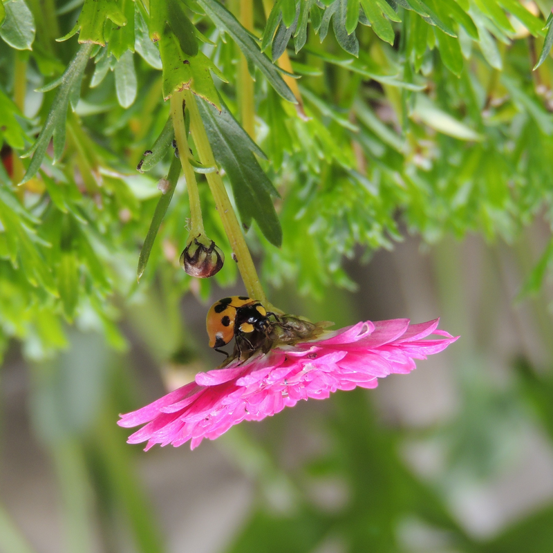 "Incluso al revés, la vida sigue"